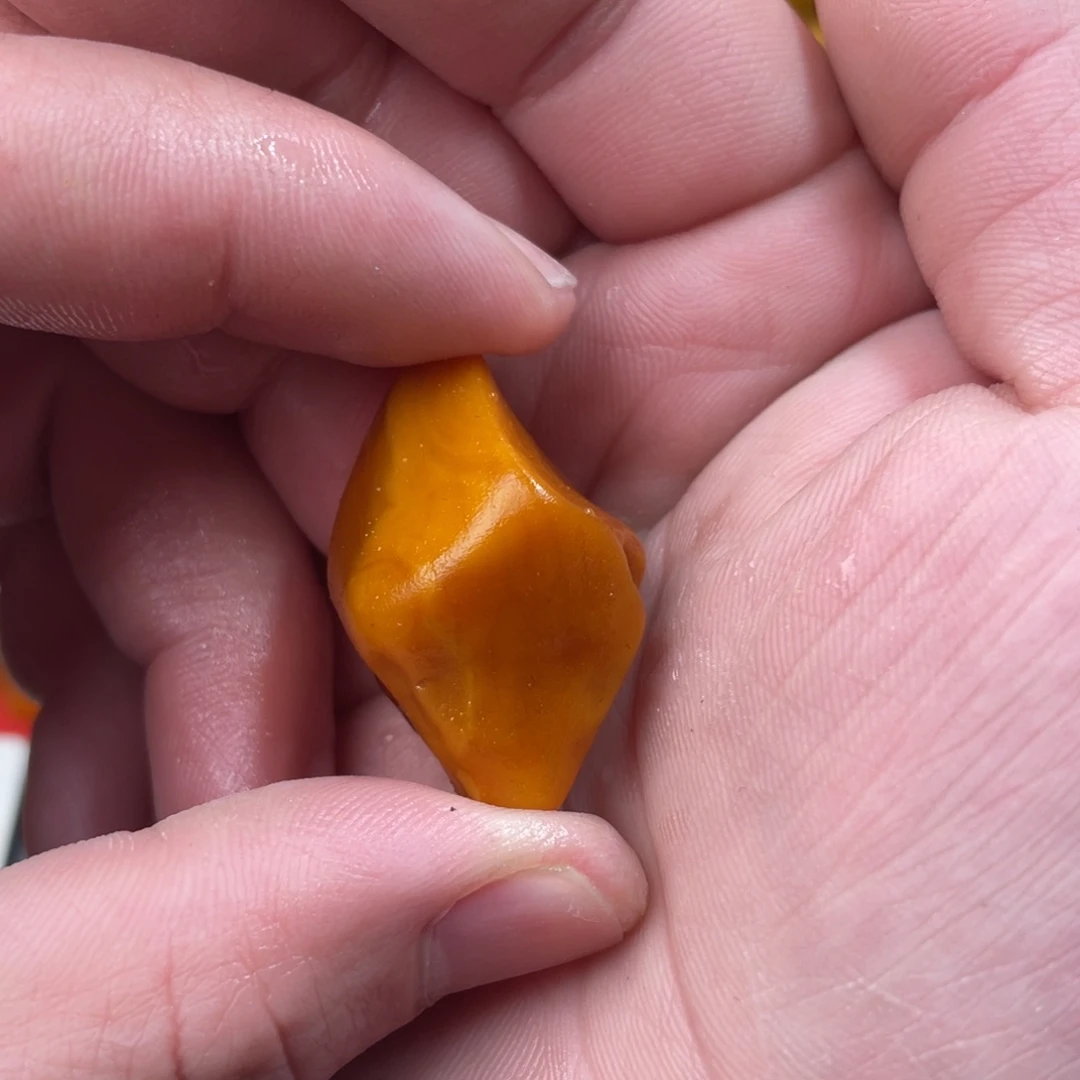 大***飞定制琥珀未镶嵌蜜蜡订制珠子