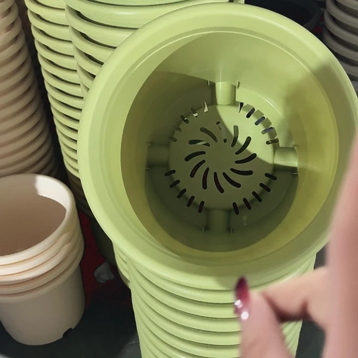 四季6号果绿无托7个特价微瑕