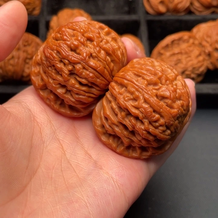 菩提籽类秦岭野生核桃文玩