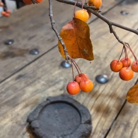 天天开心时时快乐