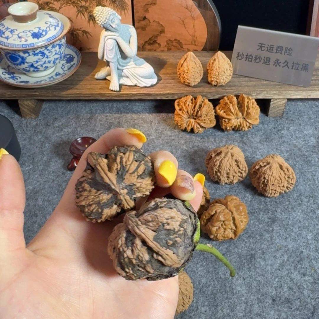 全品白狮子半壁60➕