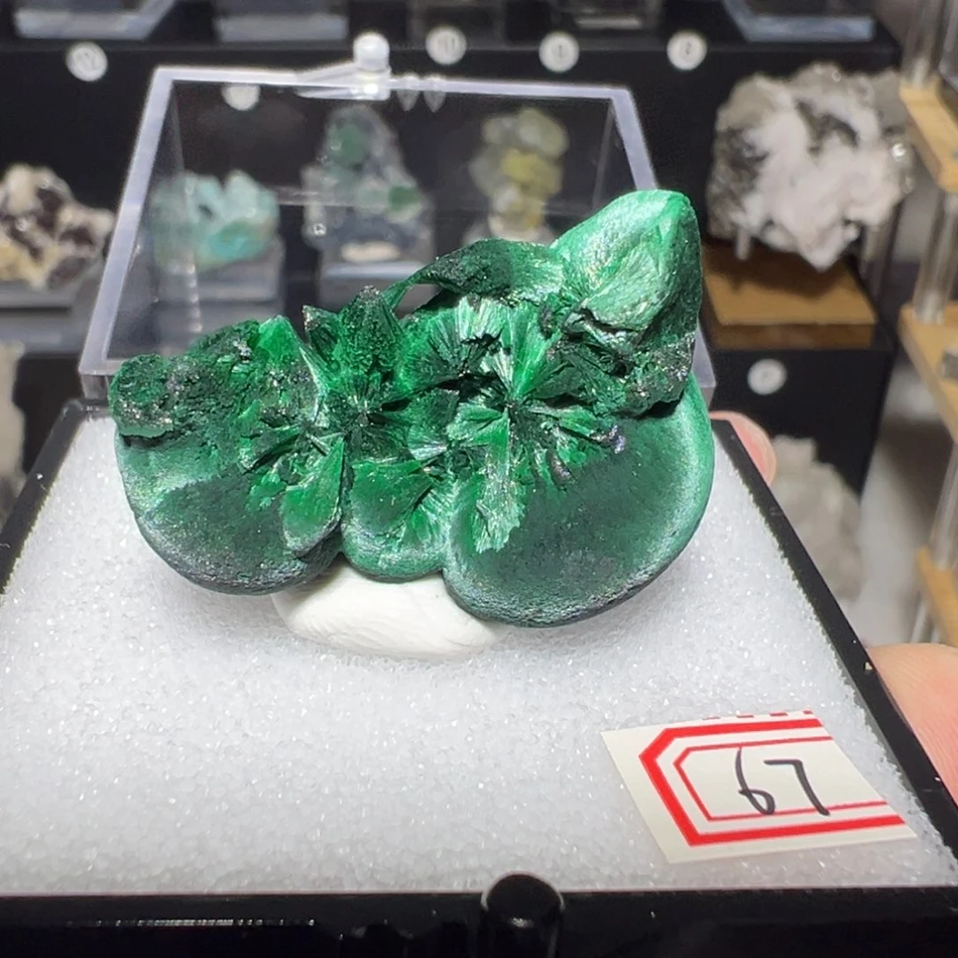银S925镶嵌大型摆件（非配饰）紫晶
