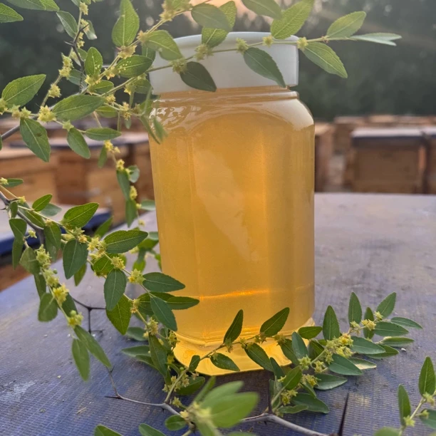 小枣蜜野酸枣蜜1000g成熟蜜密封珍品食用口感佳浓度高农家自产