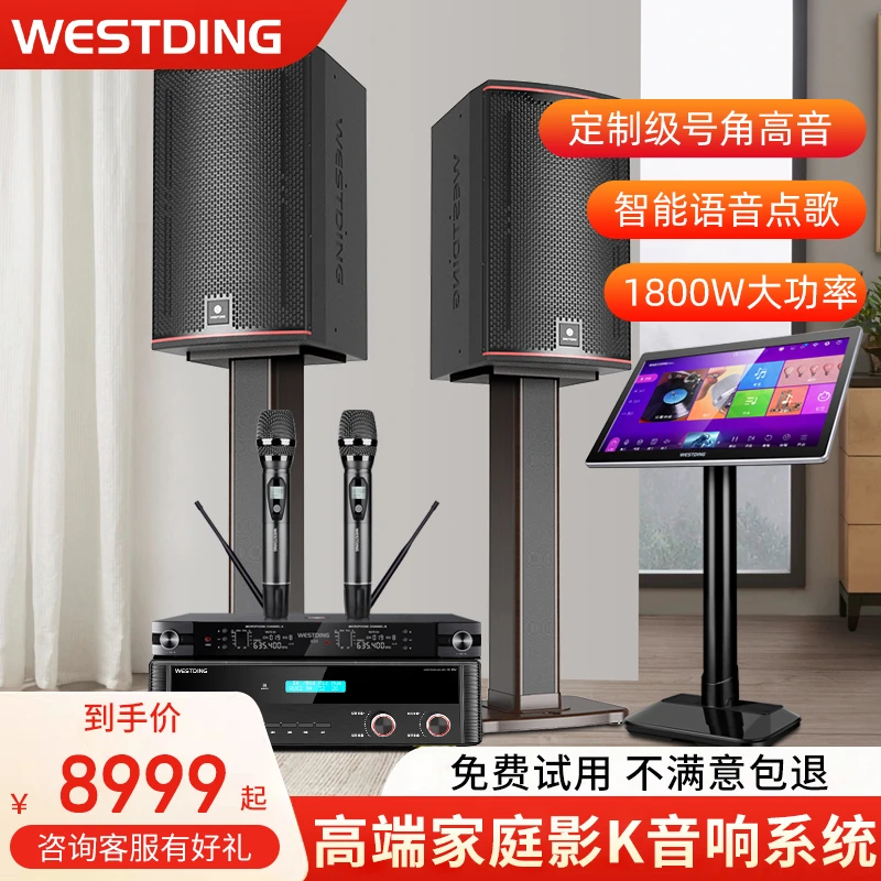 威斯汀红海9号家庭ktv大功率专业音响套装卡拉OK舞台唱歌音箱设备