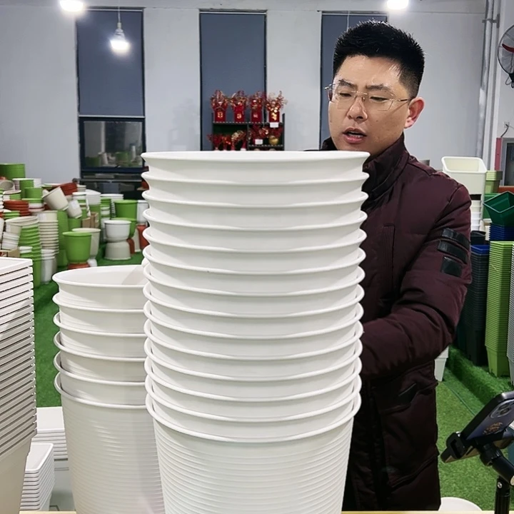 正品高陶口24高24白色5只无托