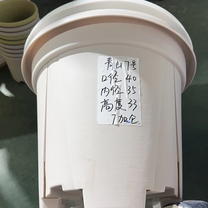 老青山7号灰白无托5个特价微瑕