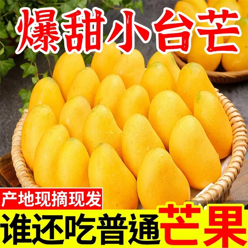云南元江大小台农芒果新鲜现摘应季热带水果香浓多汁肉厚场地直发