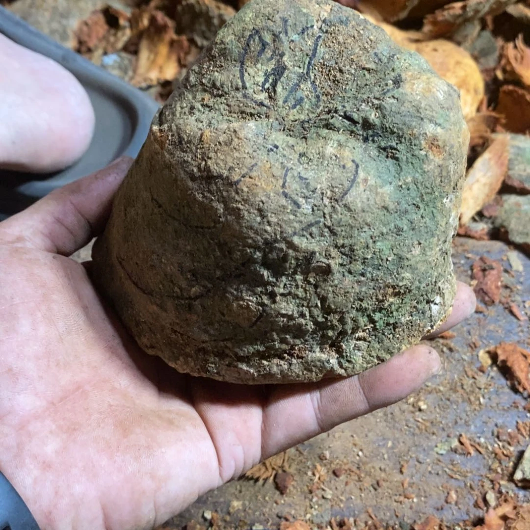 荔枝木第*感荔枝荔枝木原材料