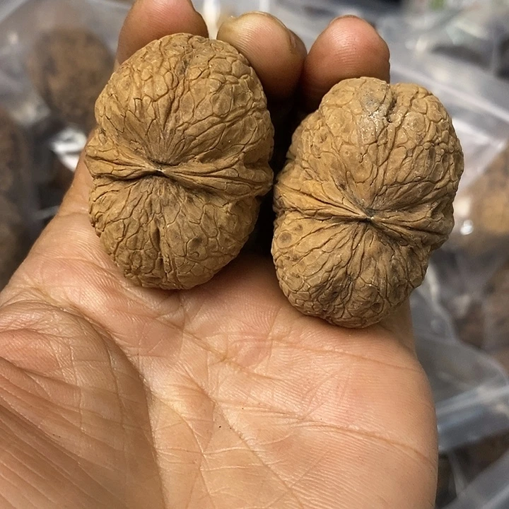 核桃云南铁核桃基地62
