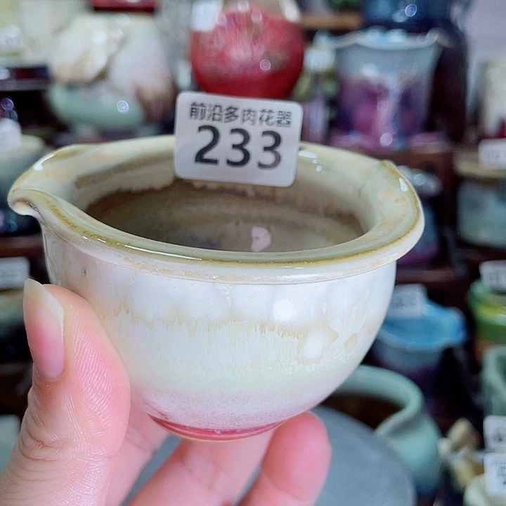 狼盆内口径6高度5