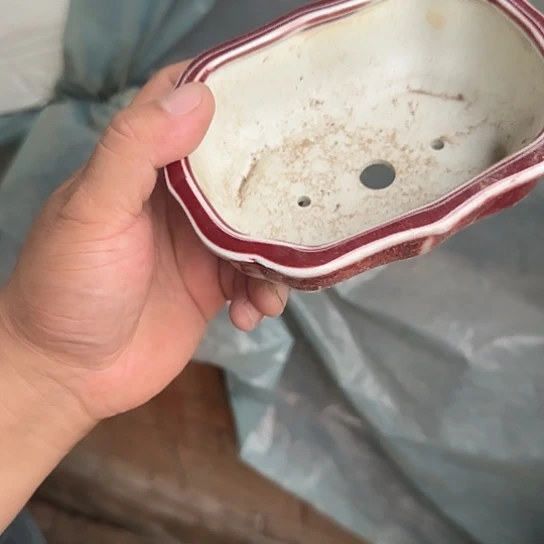 是一个集休闲农业的休闲胜地以及现代生活