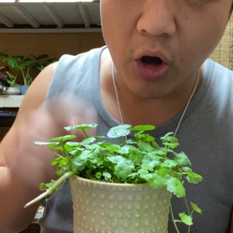 红陶管一物一拍所见即所得161