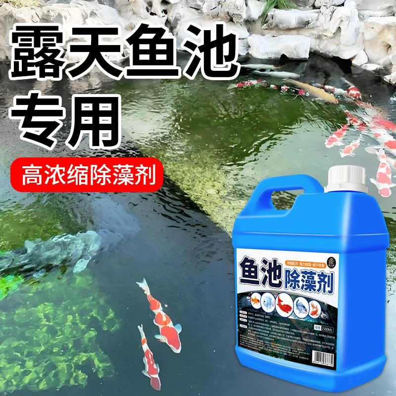 室外鱼池除藻剂去苔剂鱼缸净水神器绿水绿藻水池青苔清洁净水藻剂