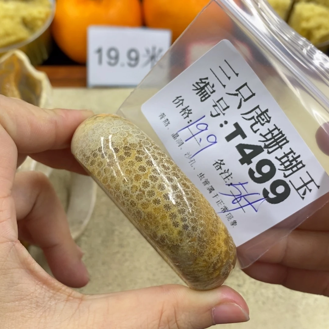 硅化珊瑚（珊瑚玉）1未镶嵌琳*