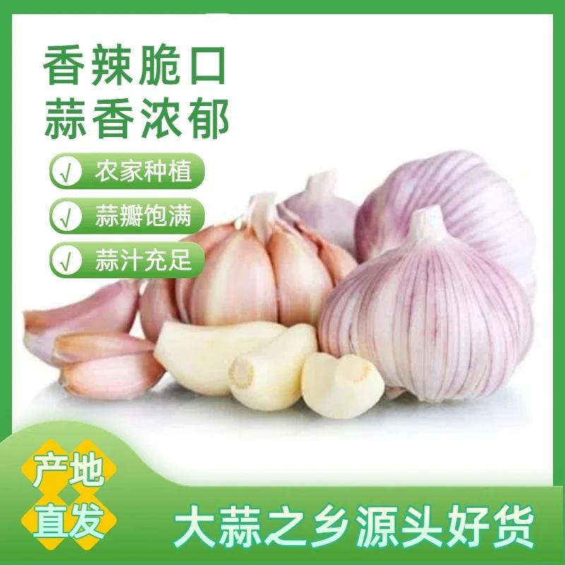 【农家干大蒜】大蒜3斤大果热销紫白皮大蒜优选杞县大蒜农家大蒜