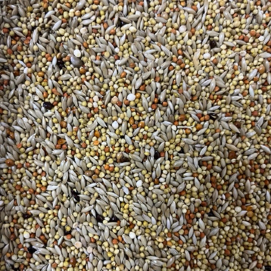 鹦鹉混合粮（天然谷物）虎皮大头养殖场专用粮