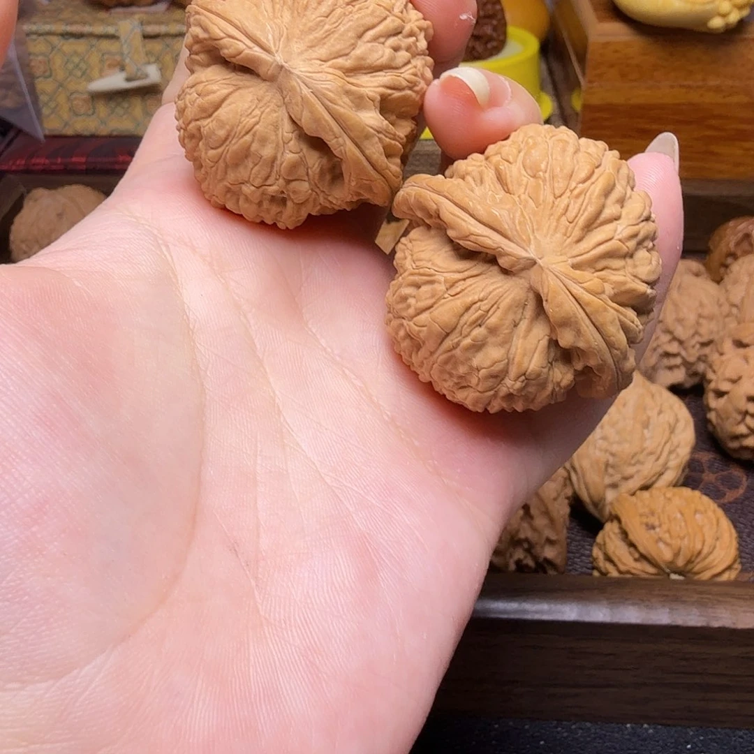 道哥俱乐部闷白全品对龟38.5