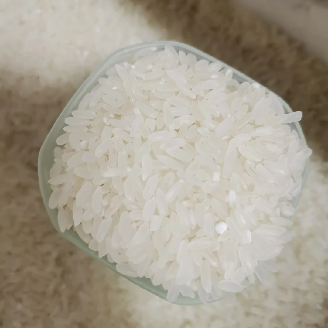 【张小洋专属】金秋新米东北长粒香大米5kg*1袋