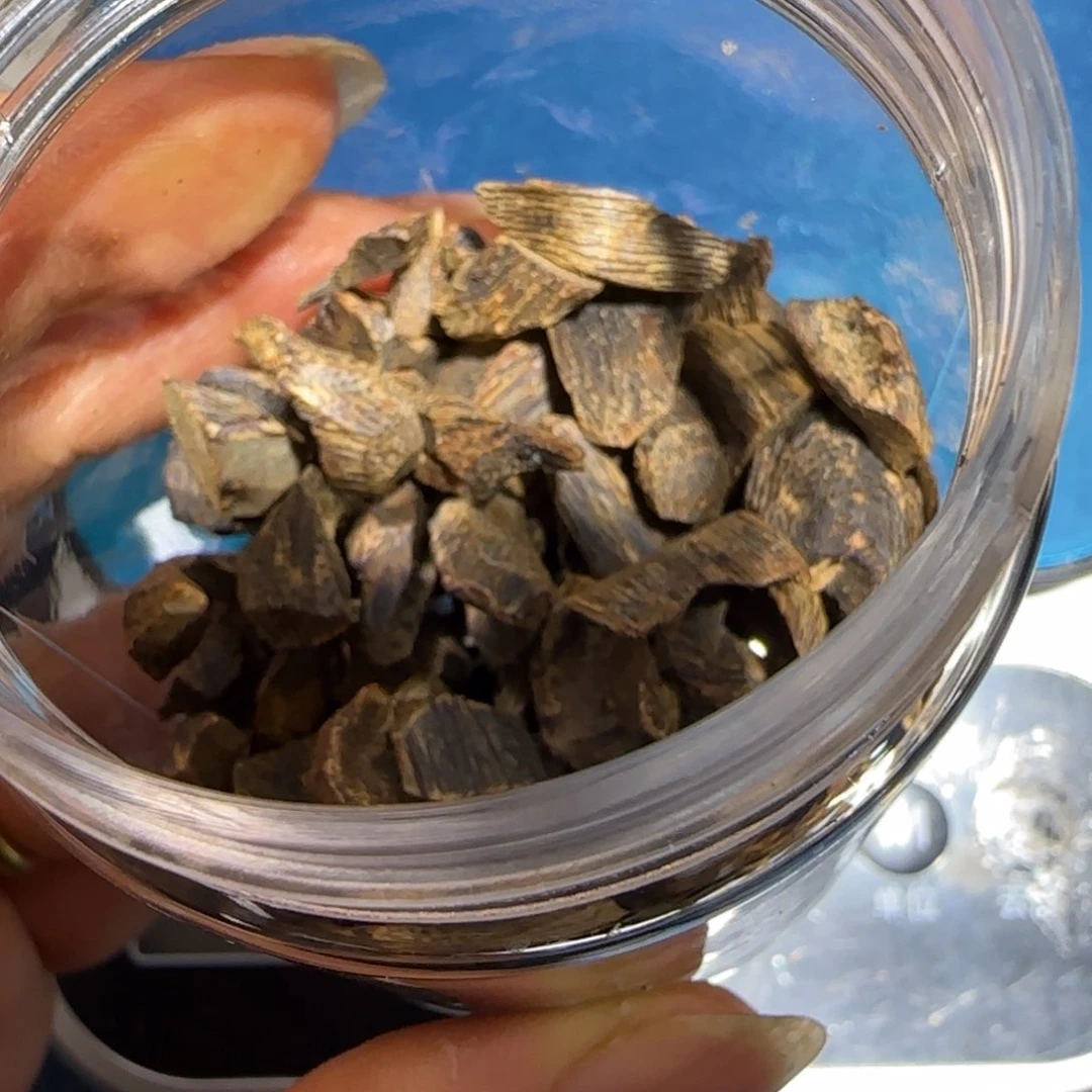 沉香碎屑沉香碎***?白露沉水壳子20克