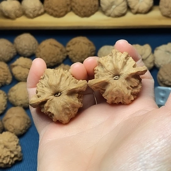 文玩核桃把件无修图图