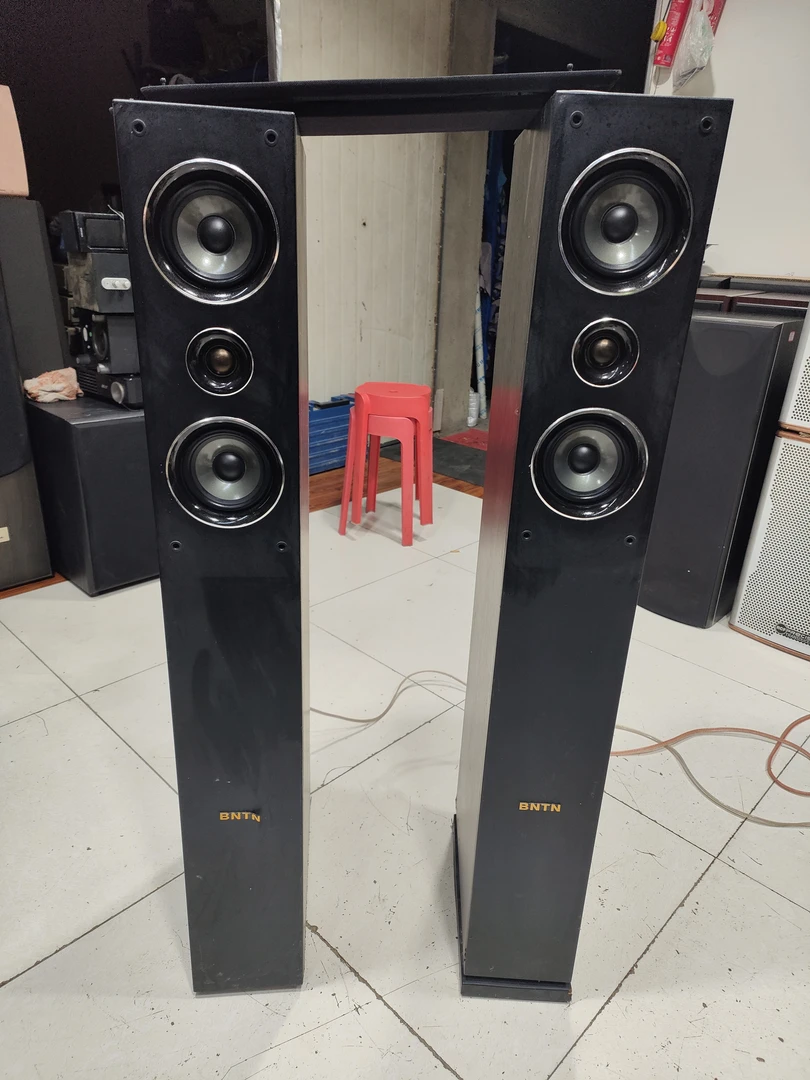 8新  二手  BNTN落地箱一对，成色如图（出声，需要维修，不带线材）