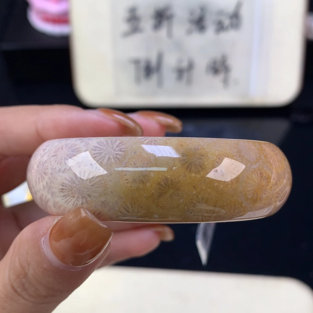 硅化珊瑚（珊瑚玉）未镶嵌颈饰精美手镯五折51.1口（115号）