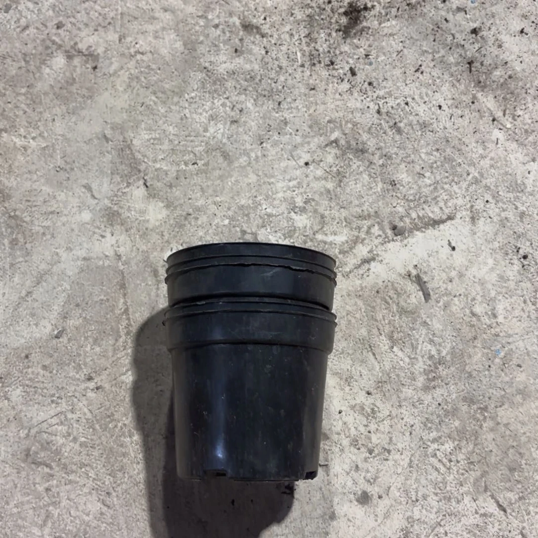 黑色养殖盆100口径发120个