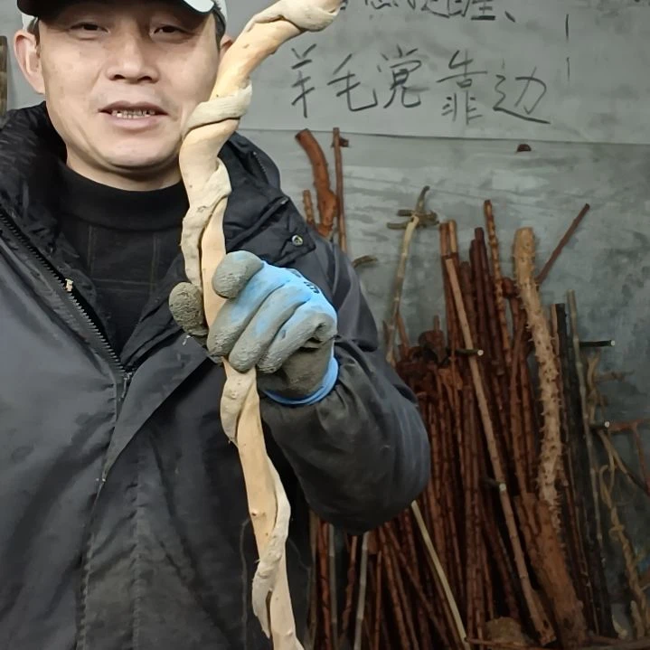 稳定木莲****心贵州檬子木   铁马鞭   根艺  半成品