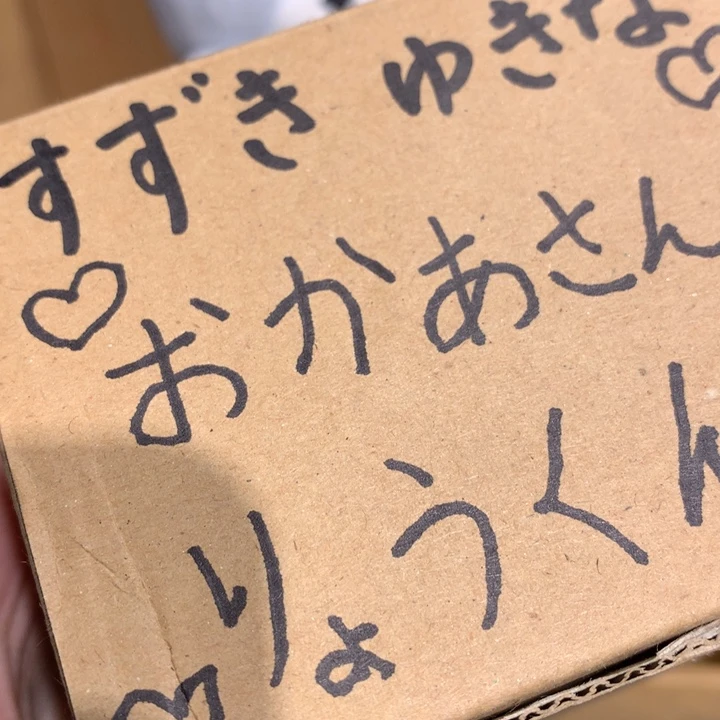 我是一只小小鸟地抢*