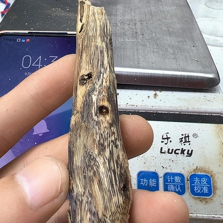 沉香沉香碎屑金沙叶6克+