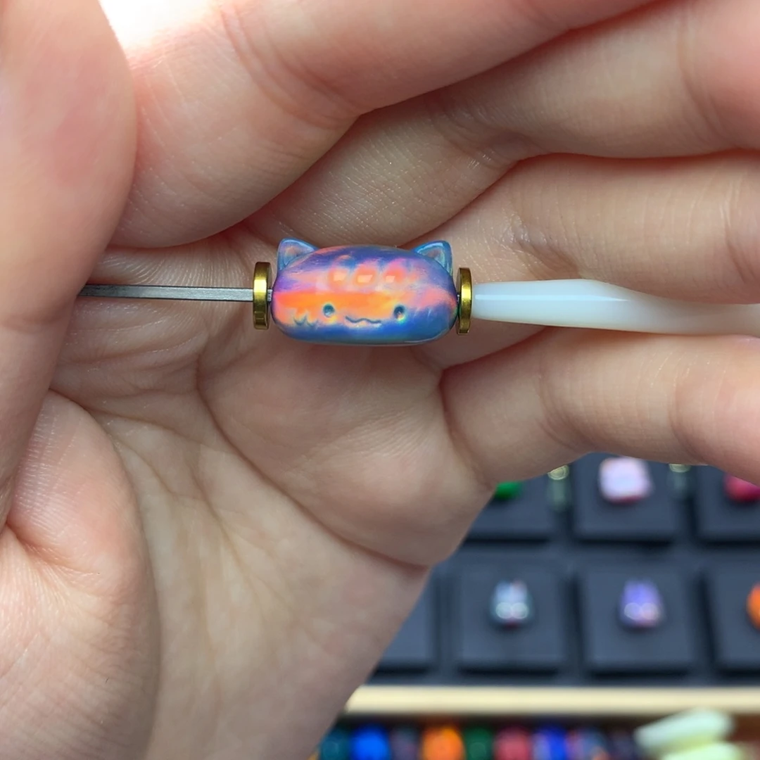 1125豹法棍猫海上夕阳