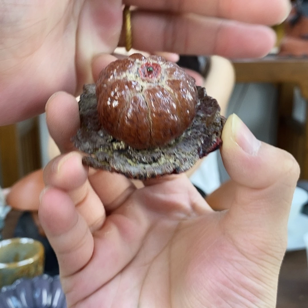 紫砂茶宠茶具茶宠系列