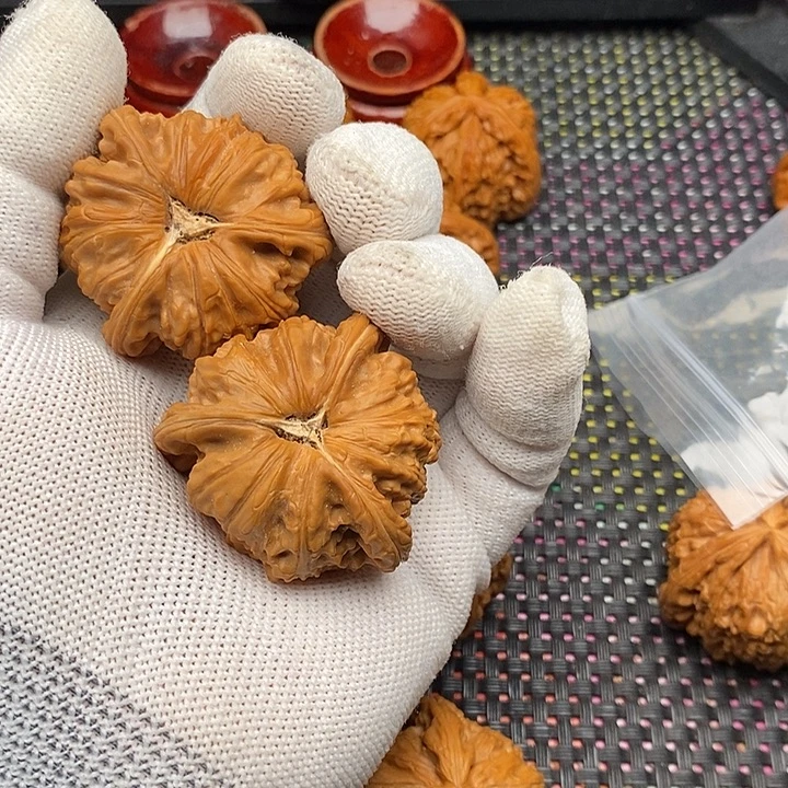 忘***记核桃手串/手链拼接白狮子34