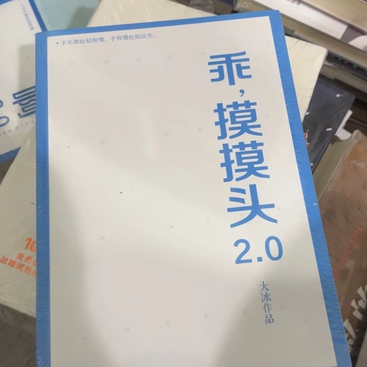 乖摸摸头2.0大冰的书