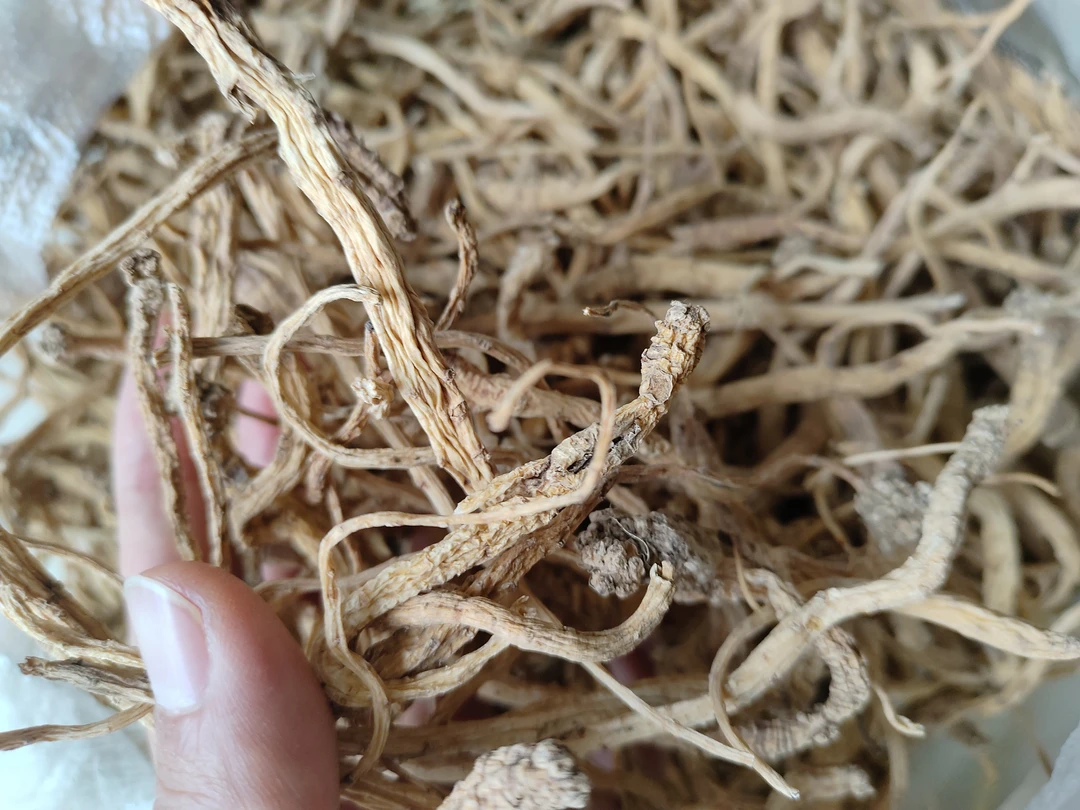 云南野生党参农户自挖山货晒干