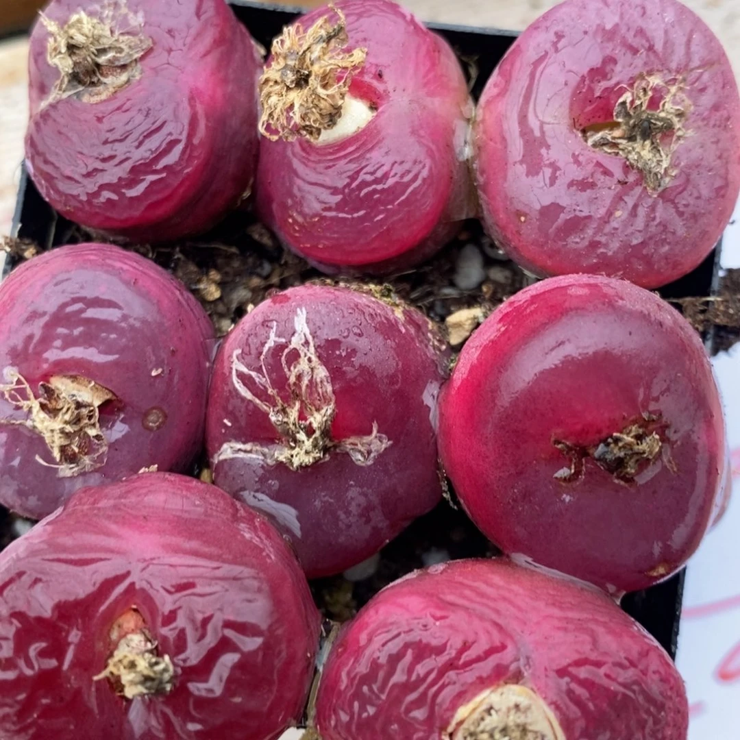 1194一组一组一组