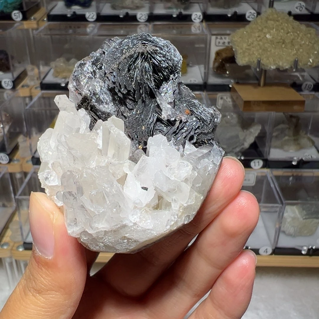 有机玻璃产地广东