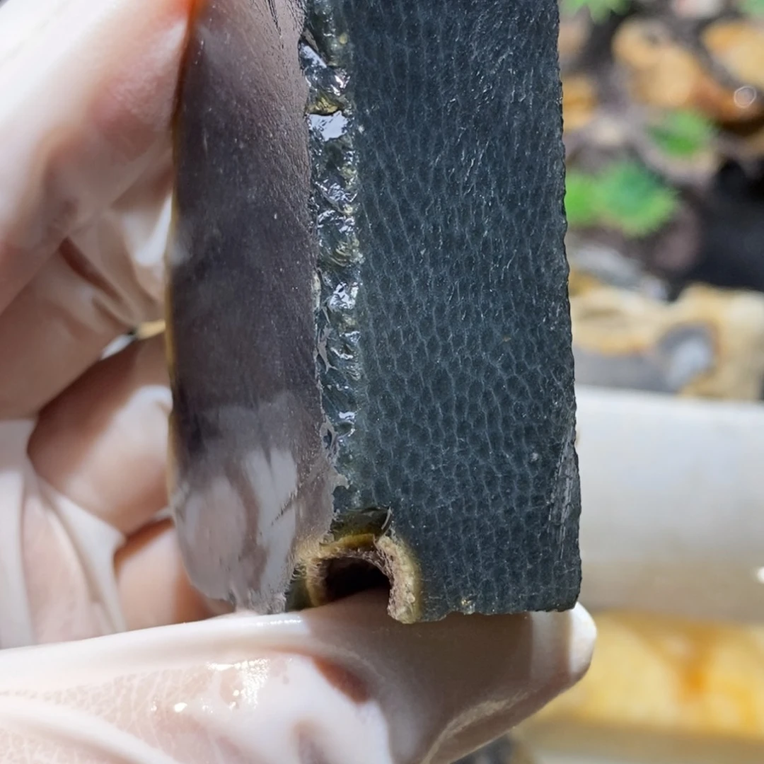 【闪购商品】硅化玉颈饰未镶嵌