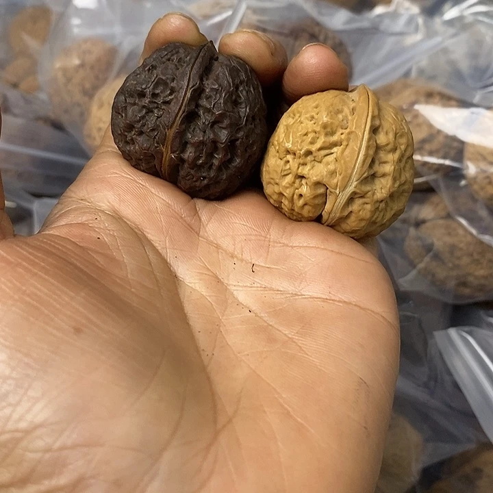 核桃云南铁核桃基地22