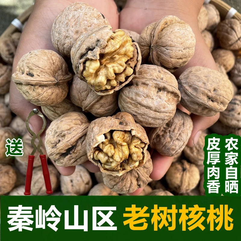 秦岭野生厚皮核桃老品种陕西商洛山核桃2025年新货老树干核桃