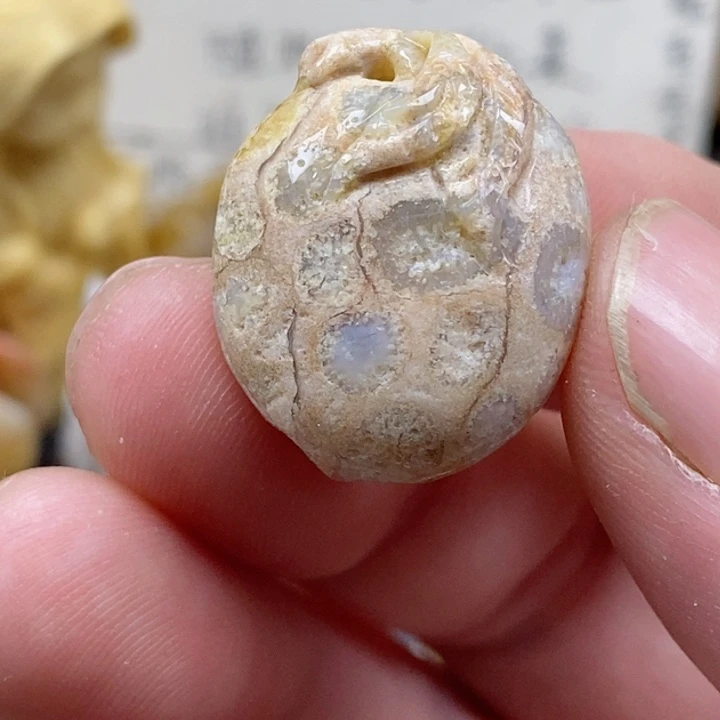 颈饰未镶嵌硅化珊瑚（珊瑚玉）有瑕 小