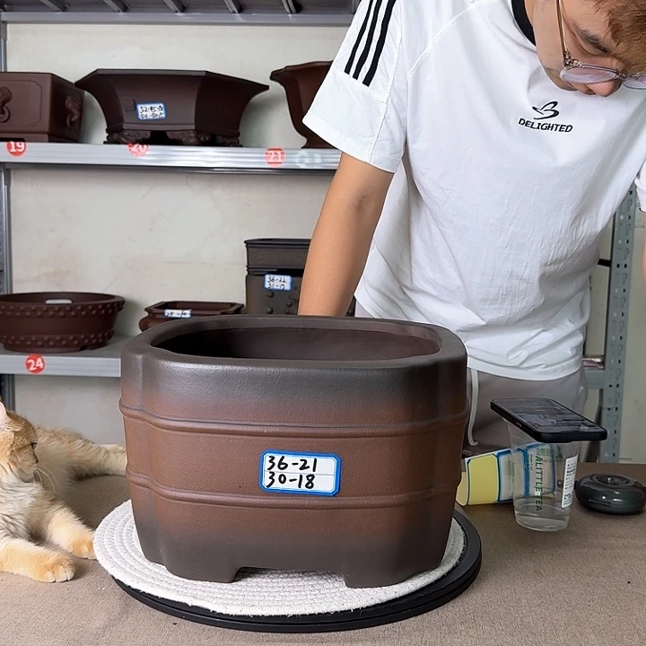 紫砂花盆哈哈哈哈