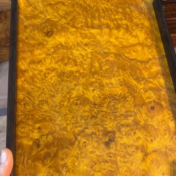 木黄金樟留疤超大托盘