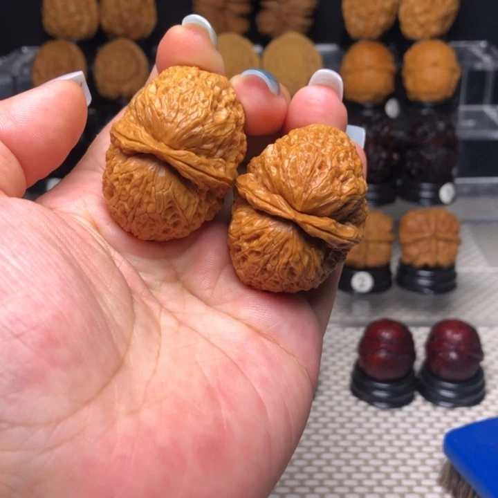 橄榄核吊坠13食蚁兽