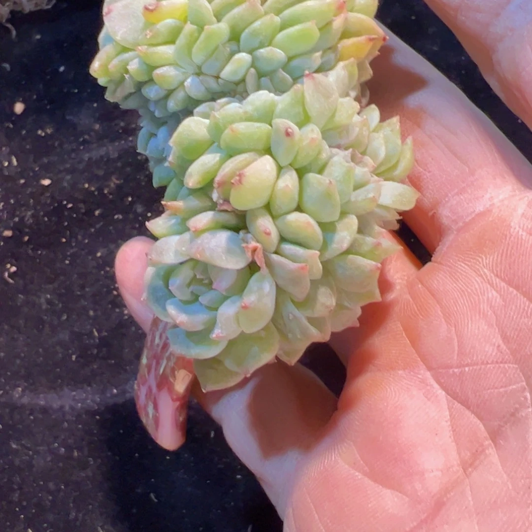 你****动新年快乐啊宝宝们加油888888