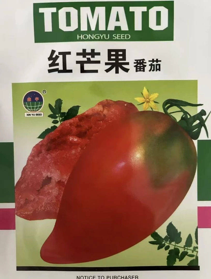 【红芒果番茄种子】四季种植盆栽地栽阳台小院种植