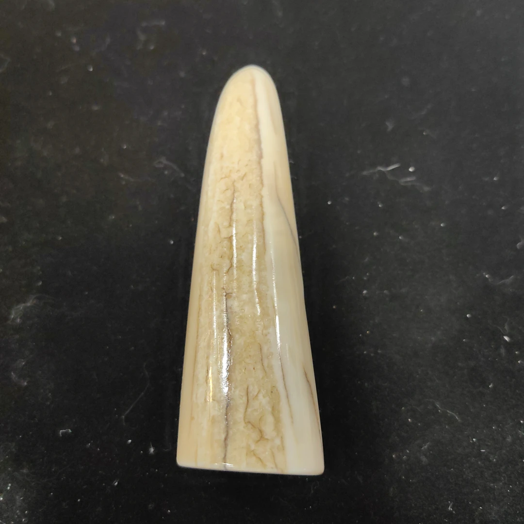 猛犸猛犸虬饼子WT568