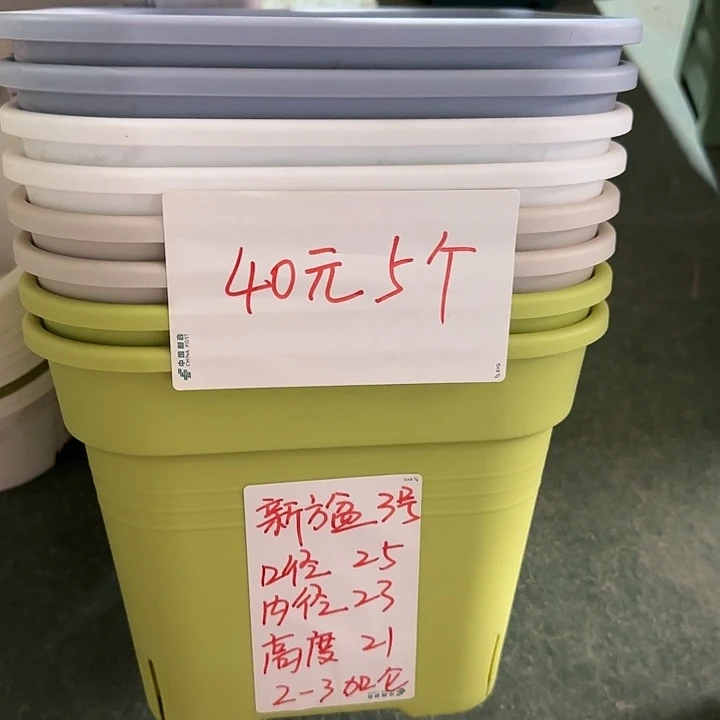 新款方盆口径25带托果绿5套