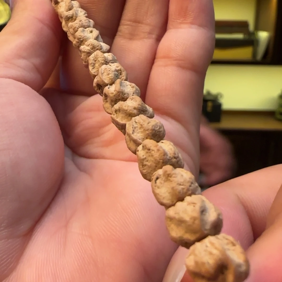 柏香籽/百香籽手串苍龙6➕