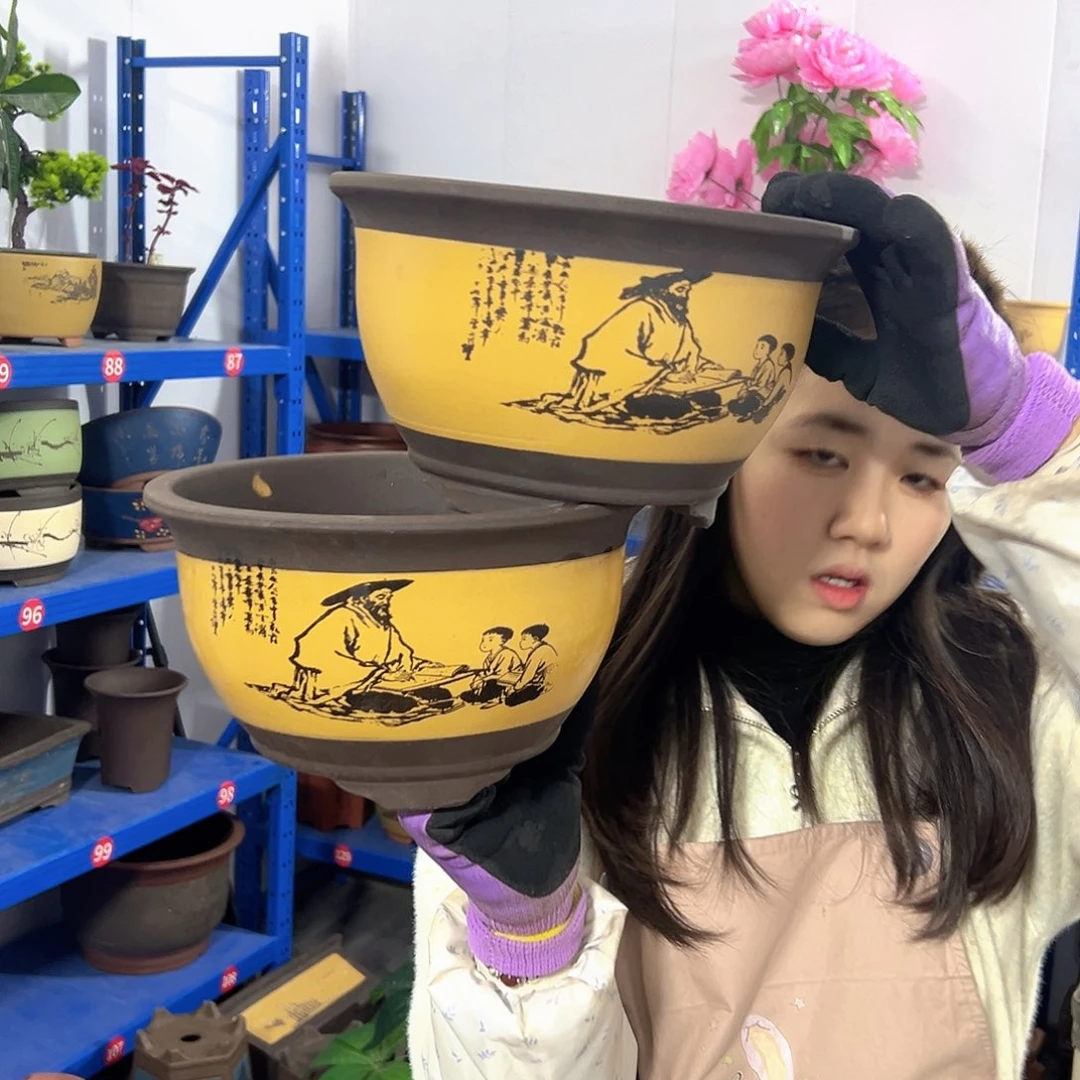 25+25黄色孔夫子三角金钟